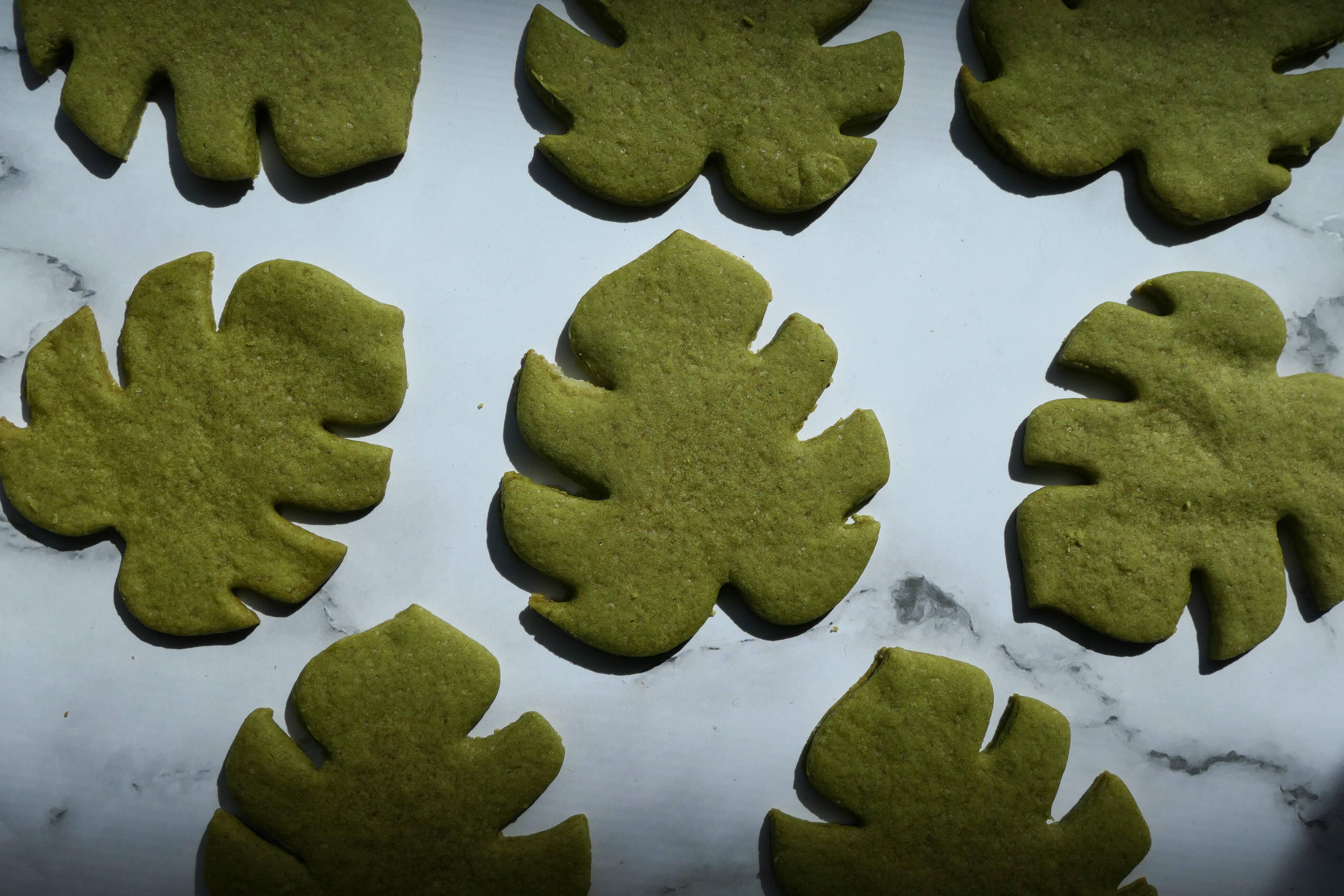 matcha monstera cookies